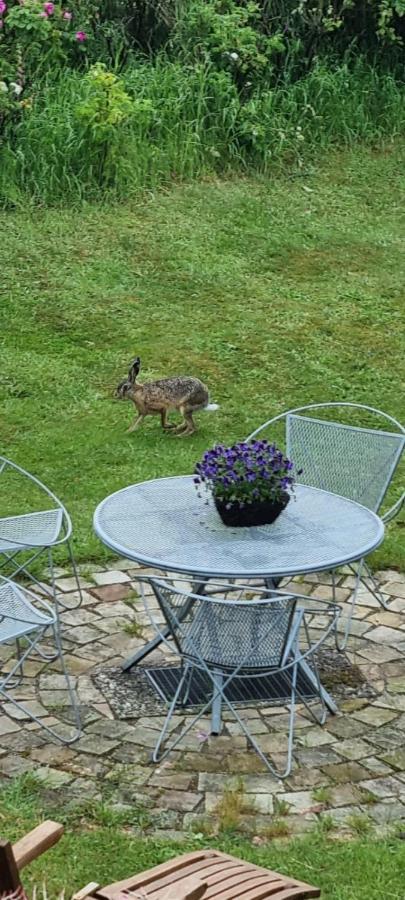 Auszeit An Der Nordsee Husum  Luaran gambar